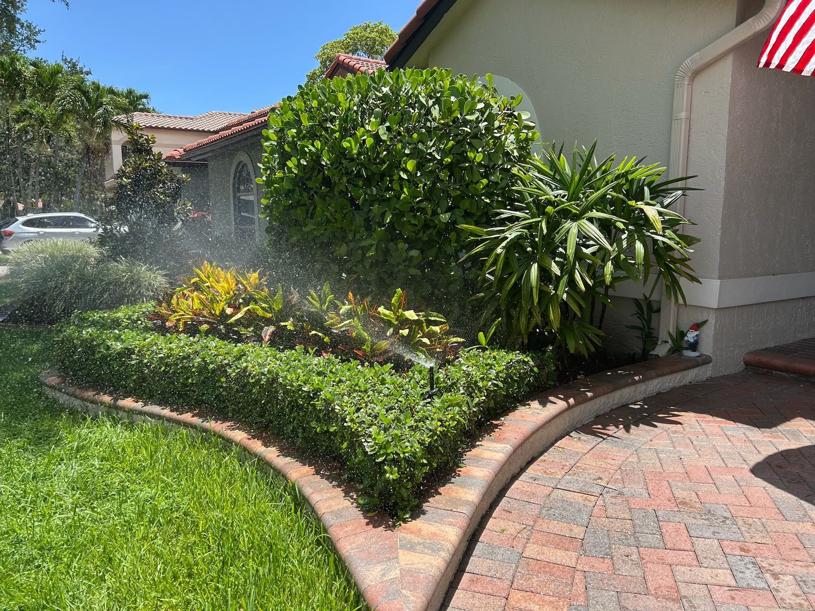 Antonio Rufin 1.jpeg