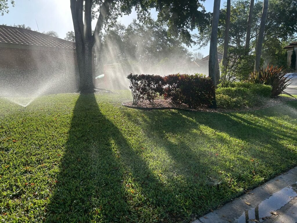 Antonio Rufin 3.jpeg