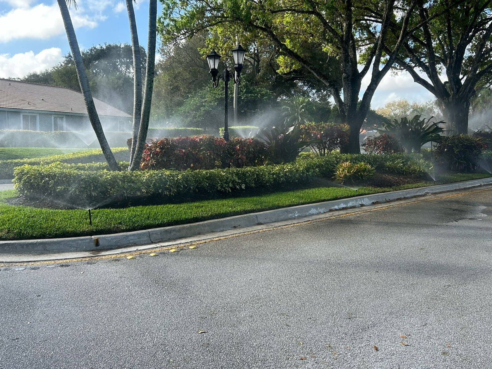 Antonio Rufin 3 27 25 5.jpeg